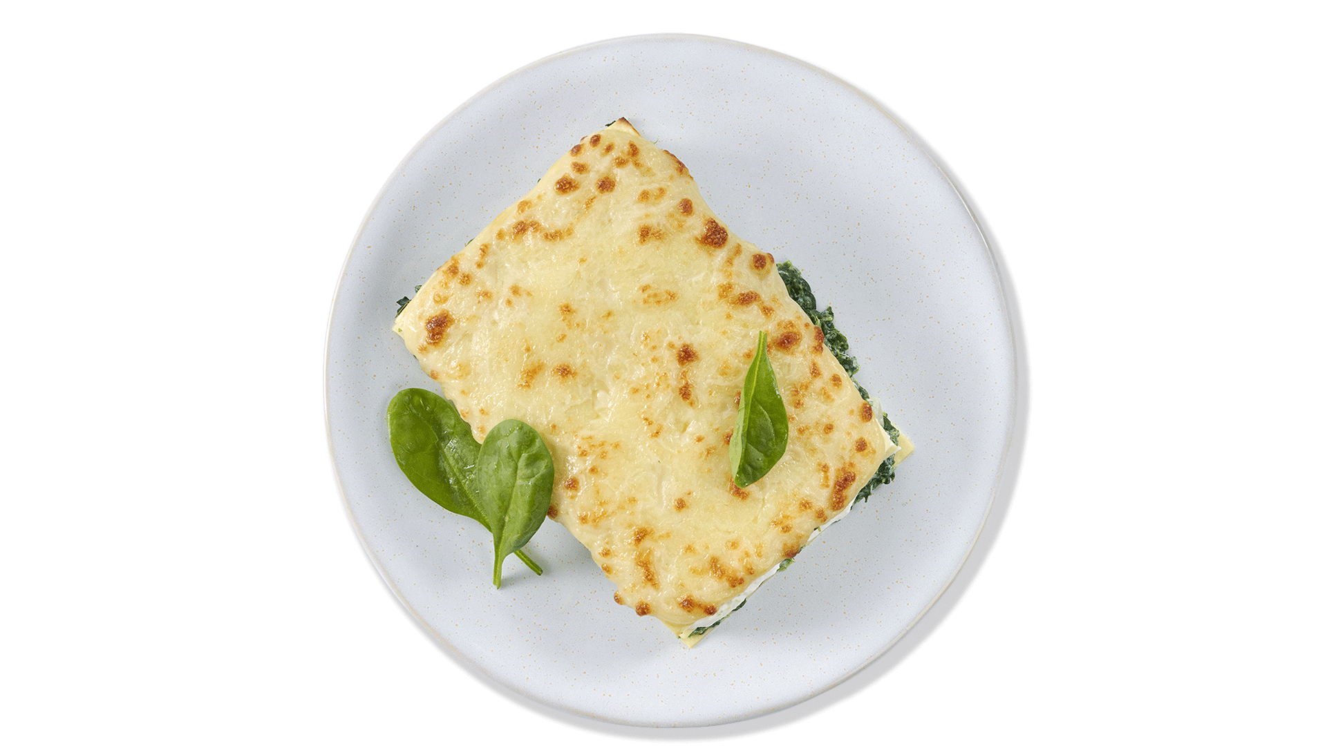 lasagne-ricotta-spinatv2png